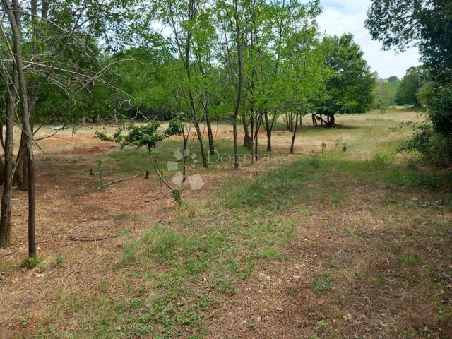 Terreno in vendita 1503 m² – Baderna