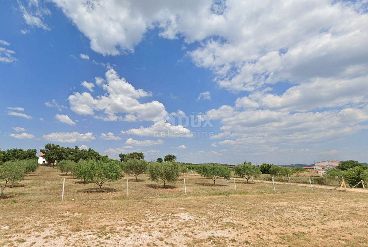 Terreno Da affittare GORNJE RAŠTANE