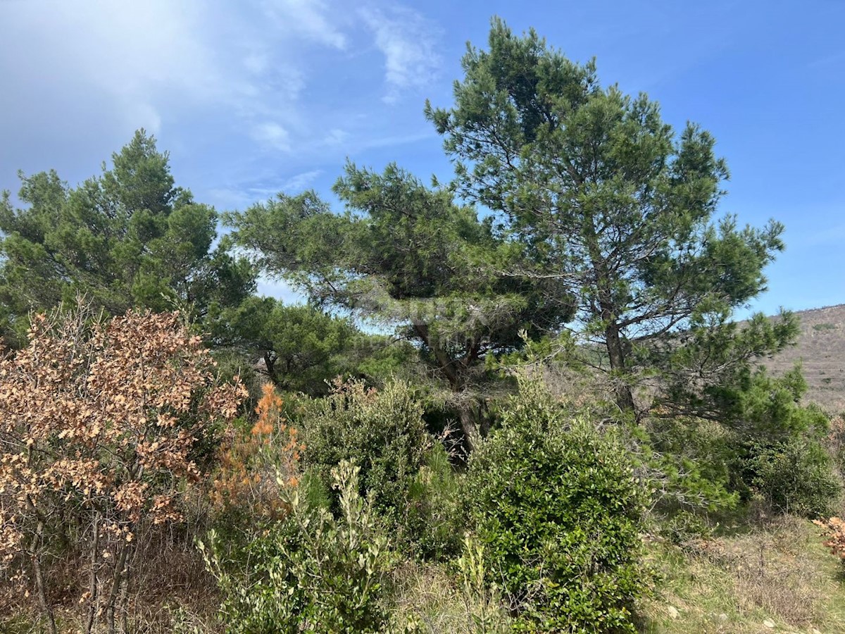 Land For sale - ISTARSKA LABIN