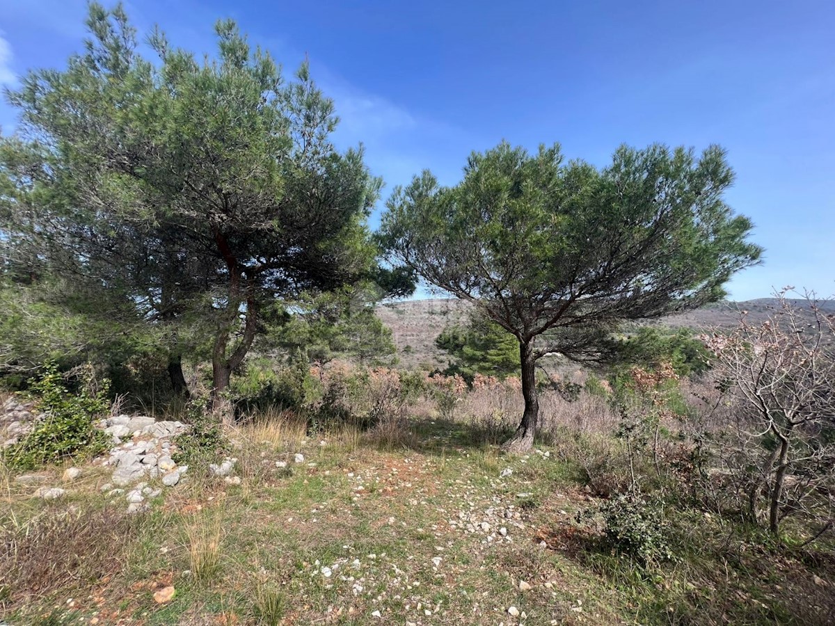 Land For sale - ISTARSKA LABIN