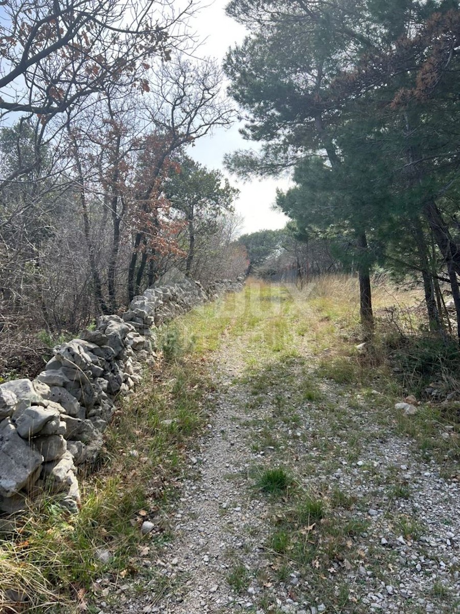 Land For sale - ISTARSKA LABIN