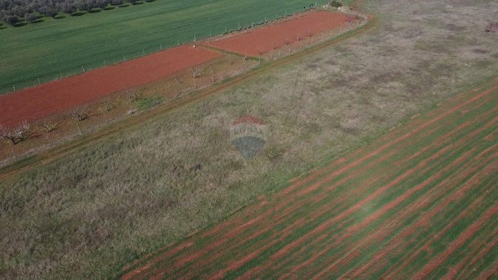 Pozemek na prodej 9776 m² – Dračevac