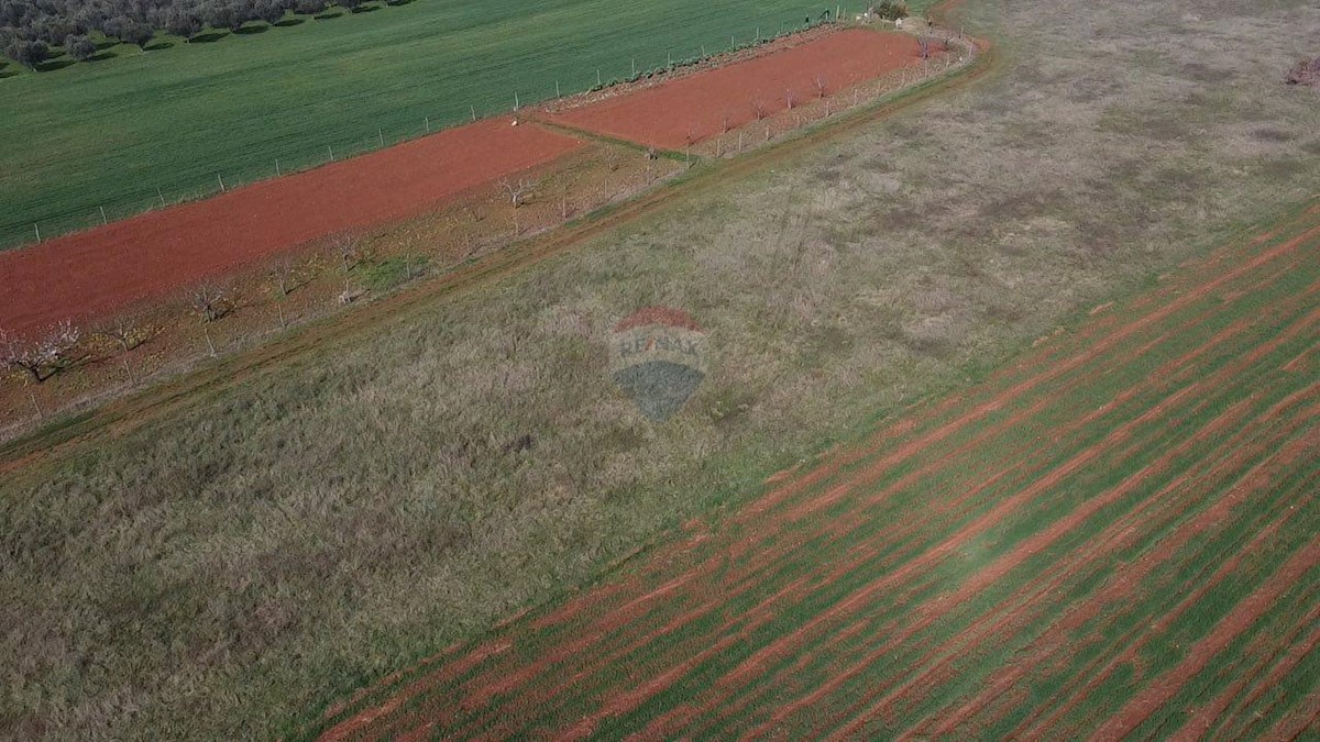 Terreno In vendita