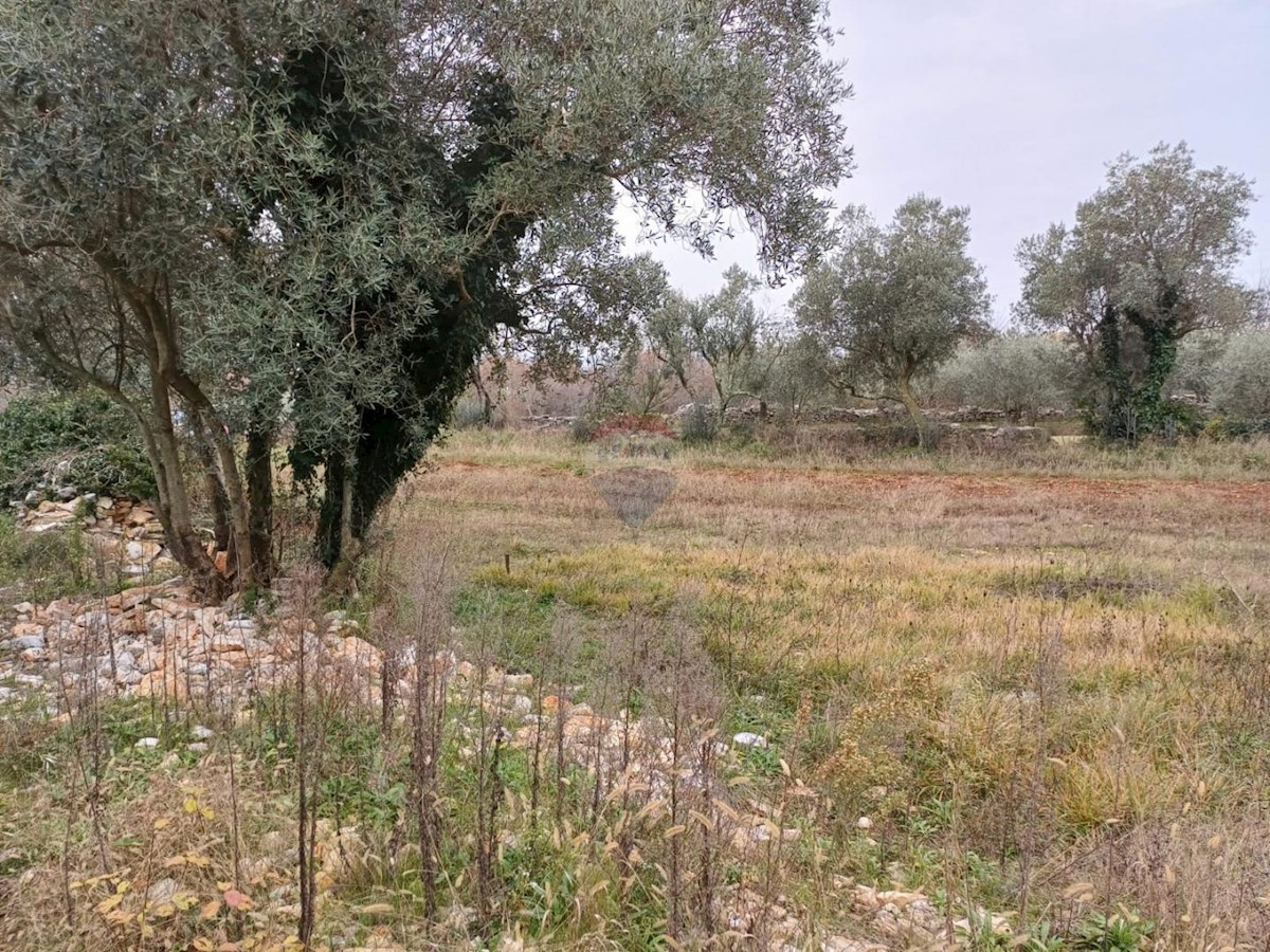 Land For sale - ISTARSKA SVETVINČENAT
