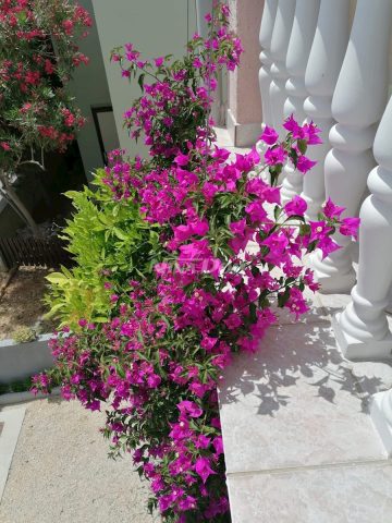 House For sale - Zadarska Vir - foto 3/24