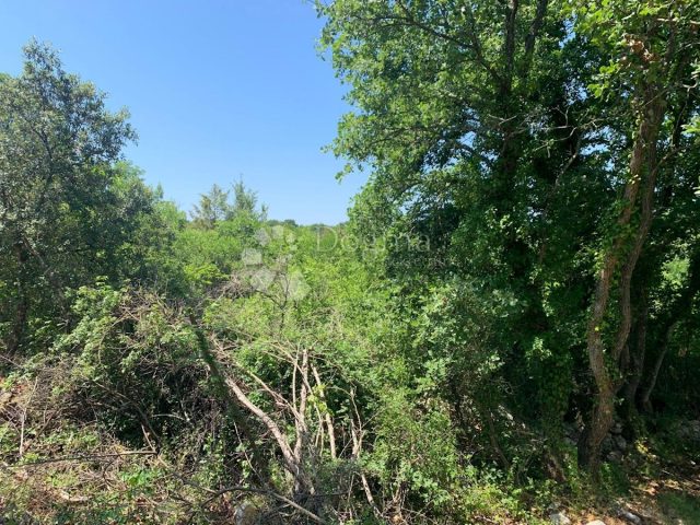 Terrain à vendre 5000 m² – Rovinj