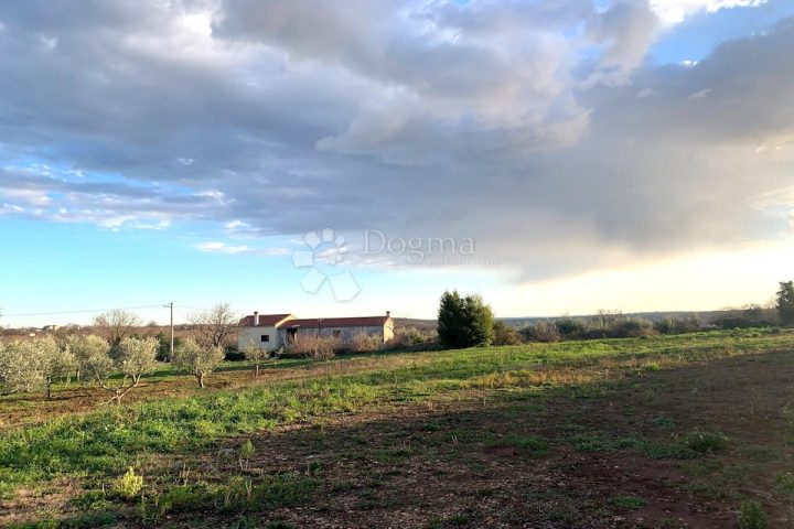 Terreno In vendita - Istarska Marčana - foto 2/5