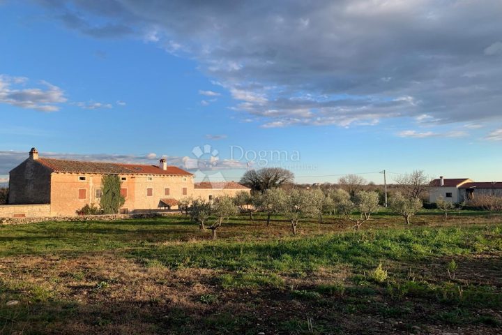 Terreno In vendita - Istarska Marčana - foto 3/5