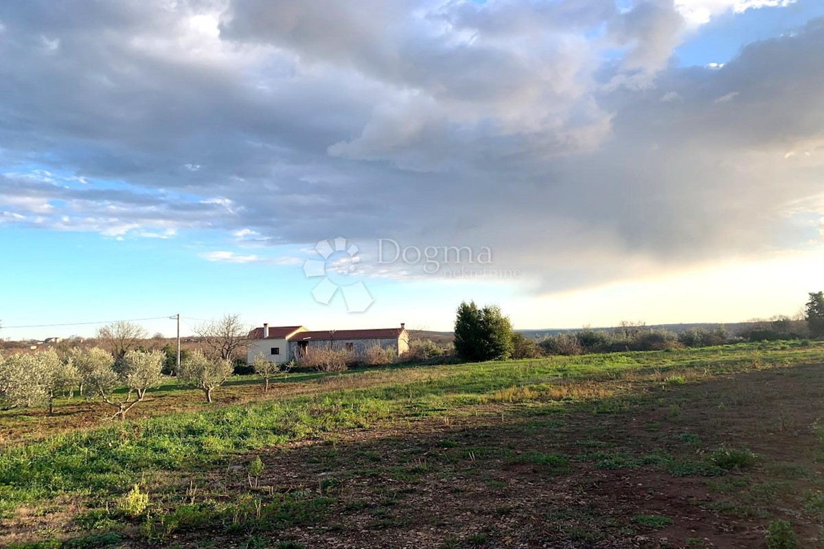 Land For sale - ISTARSKA MARČANA