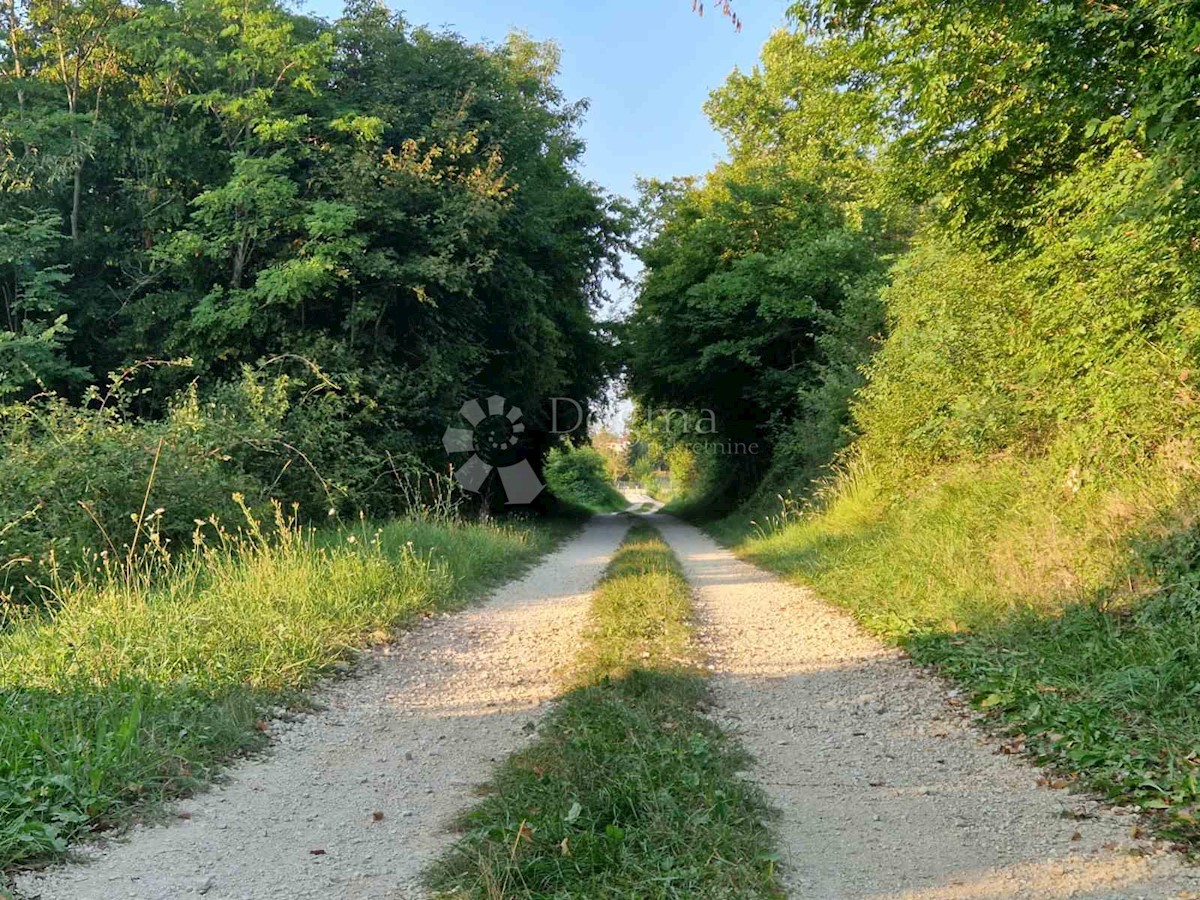 Grundstück Zu vermieten - ISTARSKA VIŽINADA