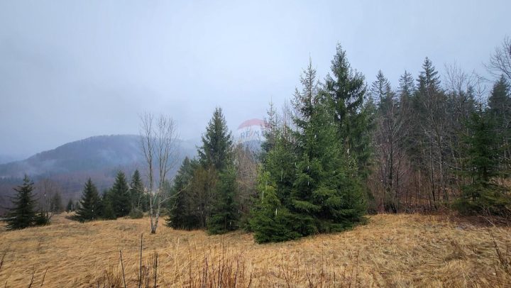 Parcela Naprodaj - Primorsko-goranska Ravna Gora - foto 5/5