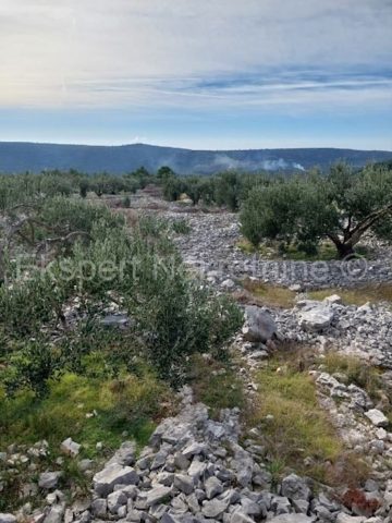 Zemljište na prodaju 6500 m² – Podorljak