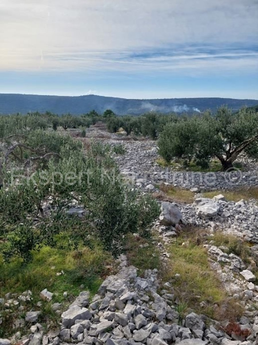 Terreno In vendita - ŠIBENSKO-KNINSKA ROGOZNICA