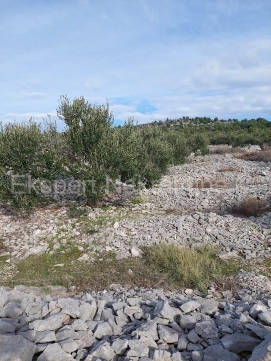 Terreno In vendita - ŠIBENSKO-KNINSKA ROGOZNICA