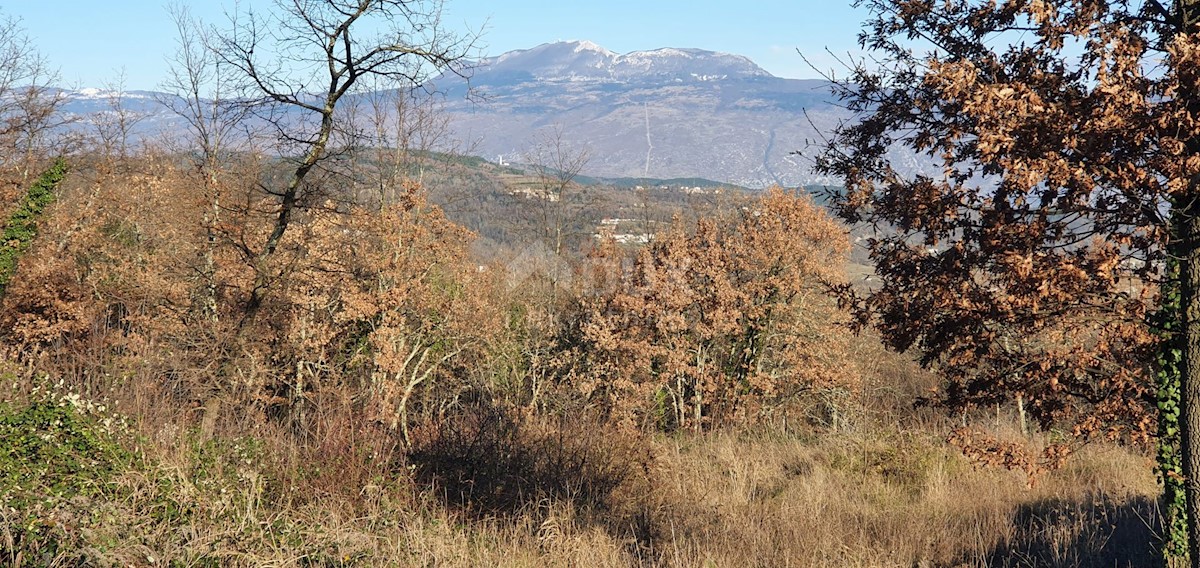 Zemljište Na prodaju - ISTARSKA PIĆAN