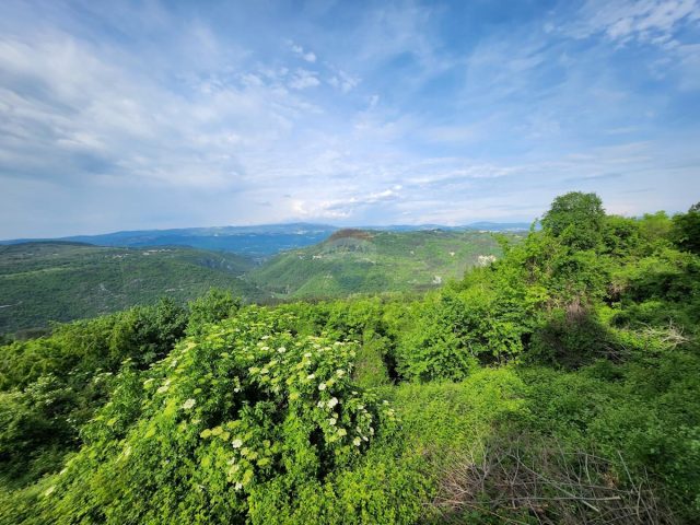 Parcela Naprodaj - Istarska Pazin - foto 5/5