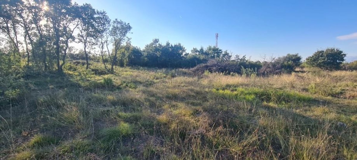 Land For sale - ZADARSKA POLIČNIK