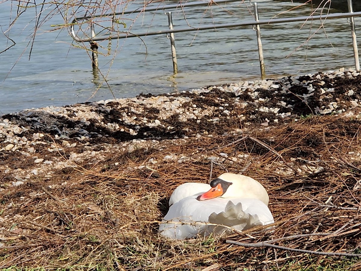 Pozemek Na prodej - ŠIBENSKO-KNINSKA ŠIBENIK