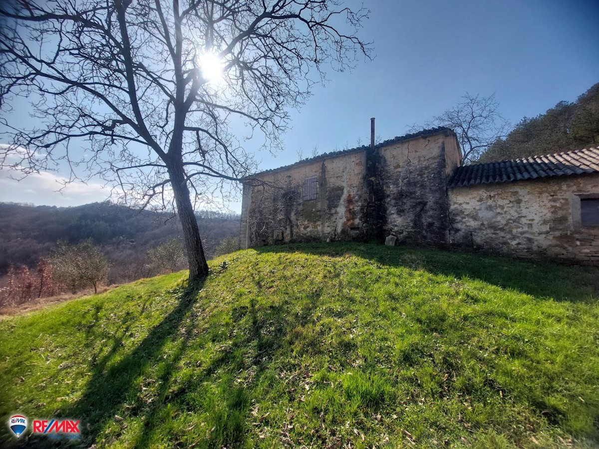 Dom Na sprzedaż - ISTARSKA PAZIN