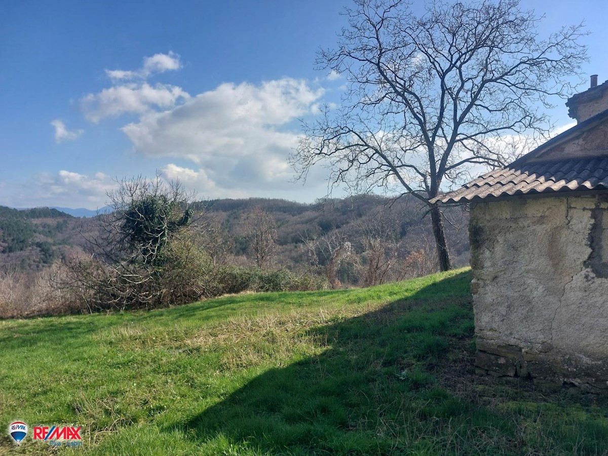 Haus Zu verkaufen - ISTARSKA PAZIN