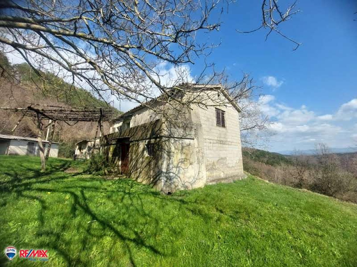 Haus Zu verkaufen - ISTARSKA PAZIN