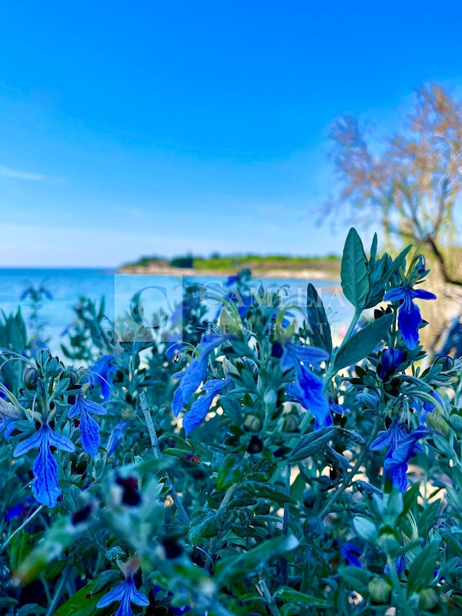 Apartmán Na predaj - ISTARSKA NOVIGRAD