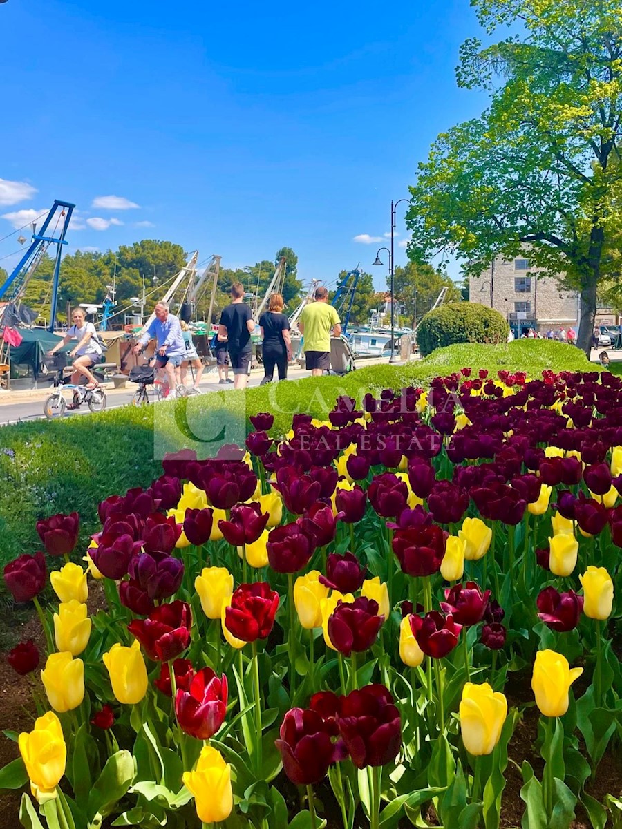 Stan Na prodaju - ISTARSKA NOVIGRAD