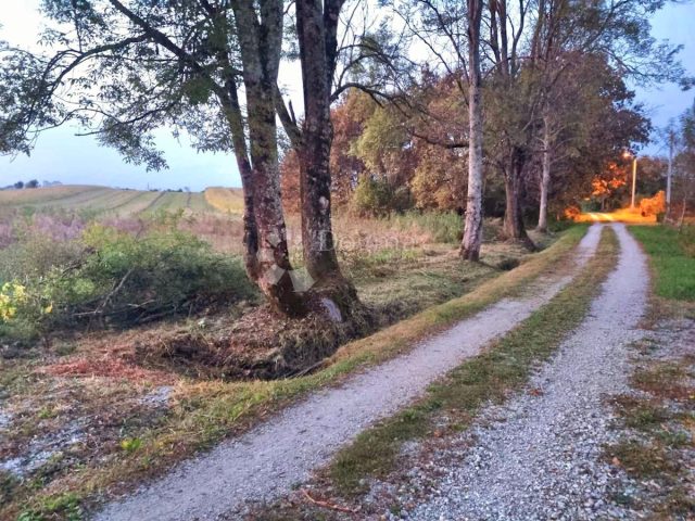 Terrain à vendre 5389 m² – Luka Pokupska