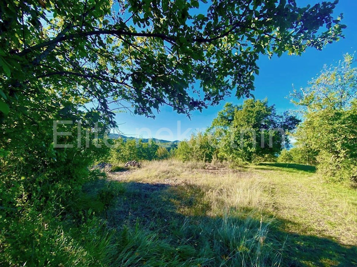 Land For sale - ISTARSKA CEROVLJE