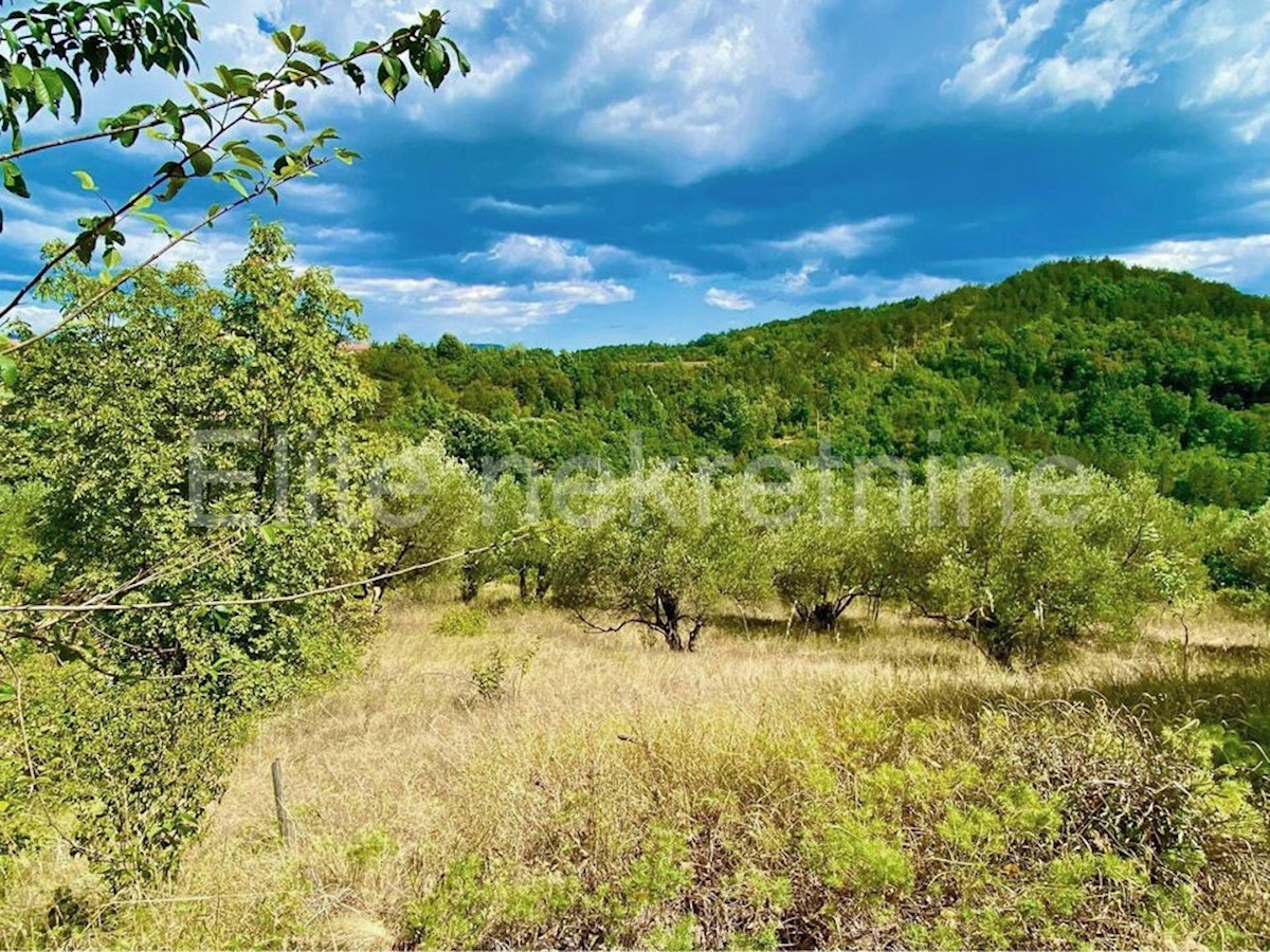 Land For sale - ISTARSKA CEROVLJE