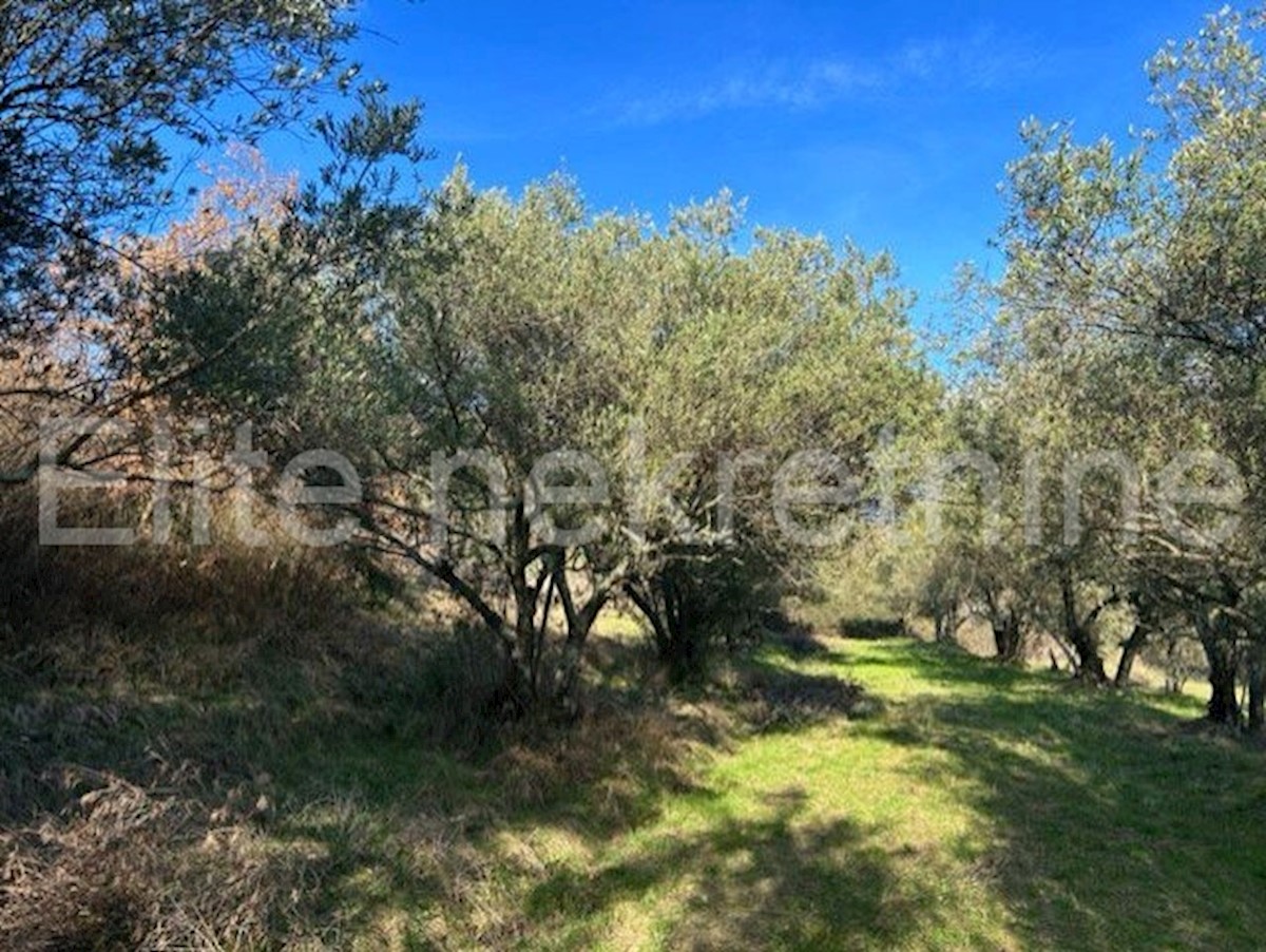 Land For sale - ISTARSKA CEROVLJE