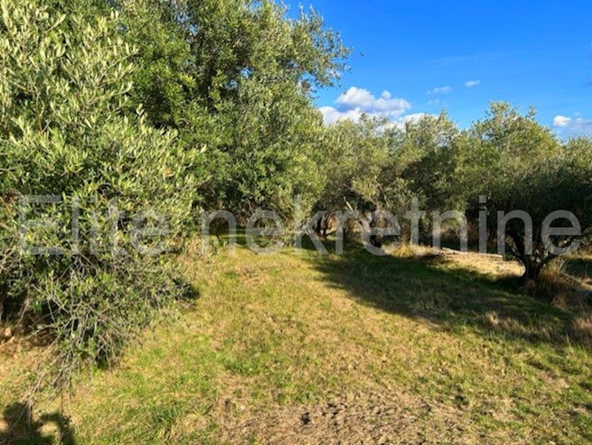 Land For sale - ISTARSKA CEROVLJE