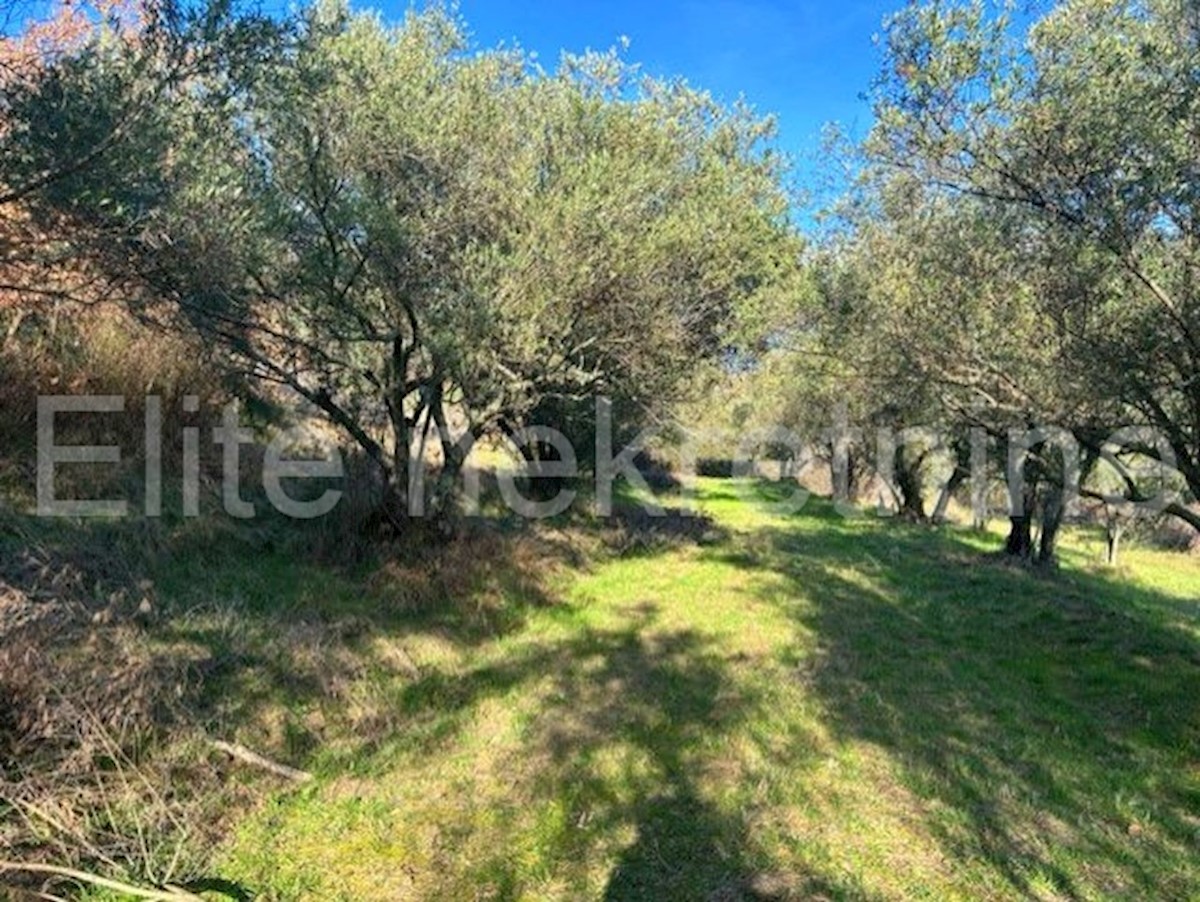 Land For sale - ISTARSKA CEROVLJE