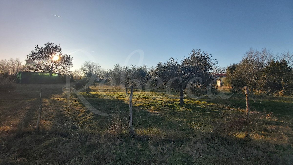 Zemljište Na prodaju - ISTARSKA UMAG