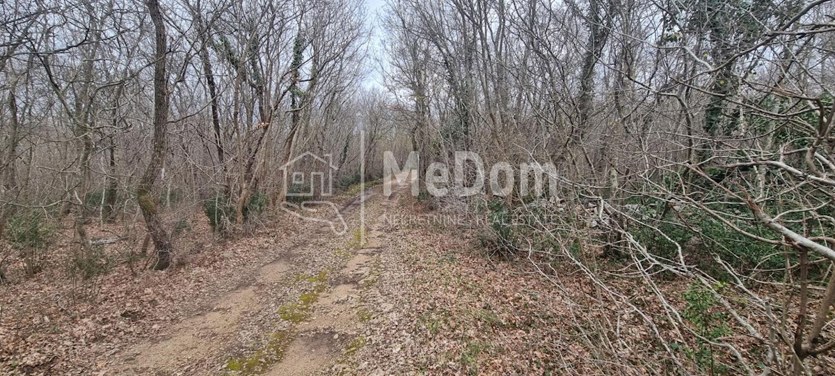 Terreno In vendita - ISTARSKA SVETA NEDELJA