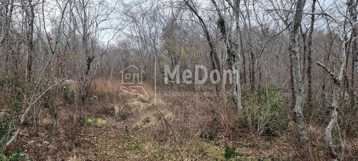 Land For sale - ISTARSKA SVETA NEDELJA