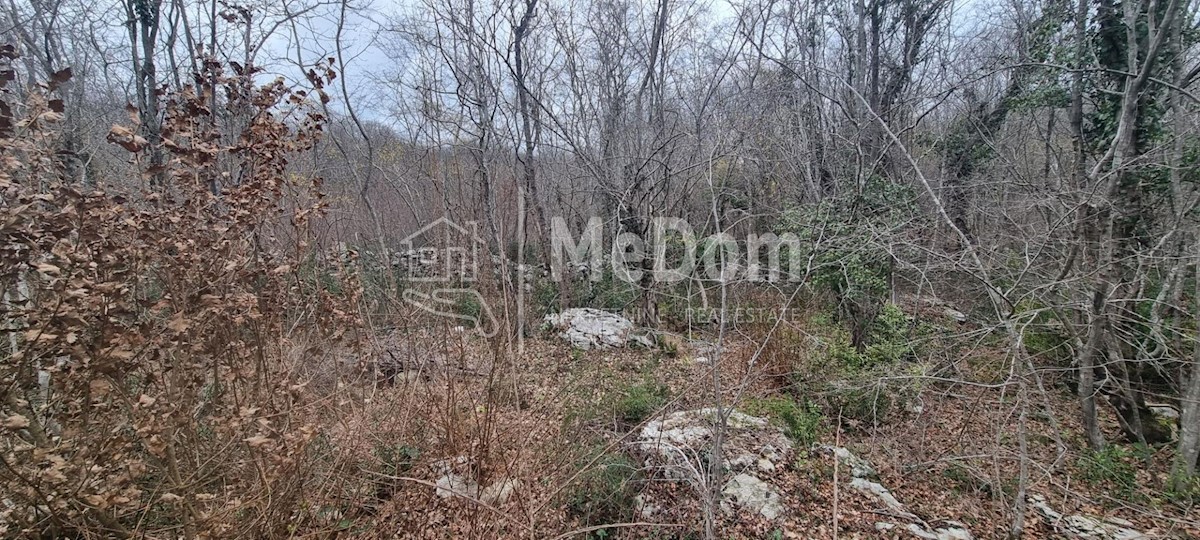 Land For sale - ISTARSKA SVETA NEDELJA