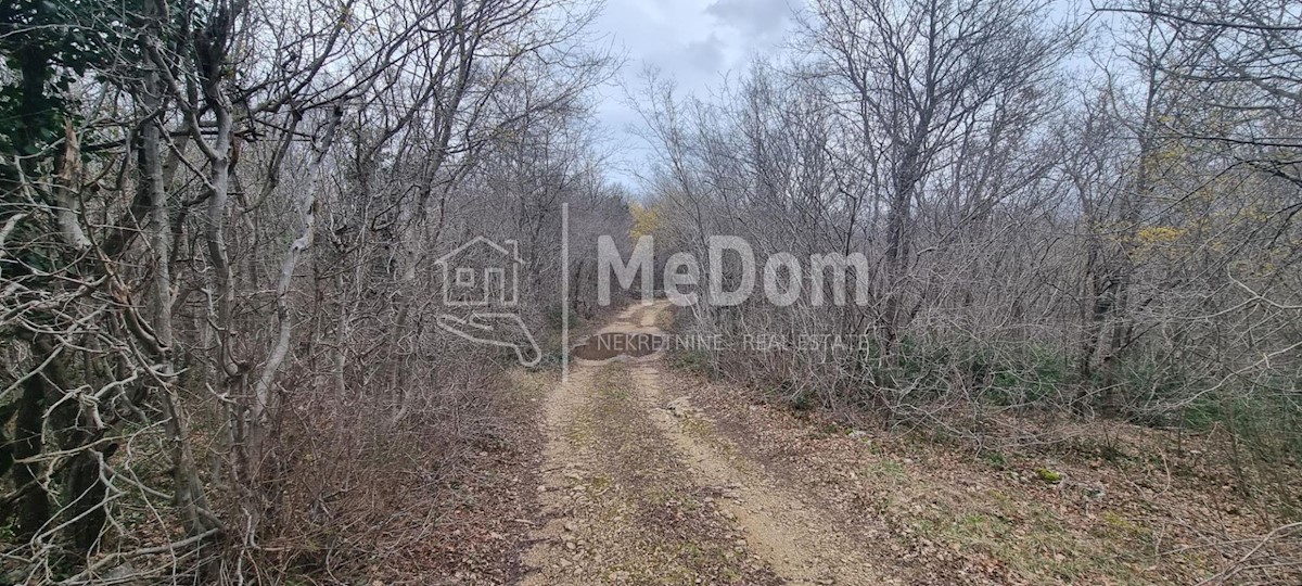 Land For sale - ISTARSKA SVETA NEDELJA