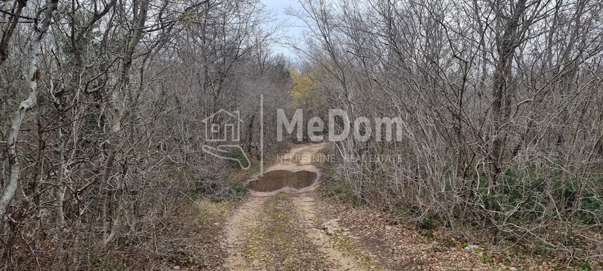 Terreno In vendita - ISTARSKA SVETA NEDELJA