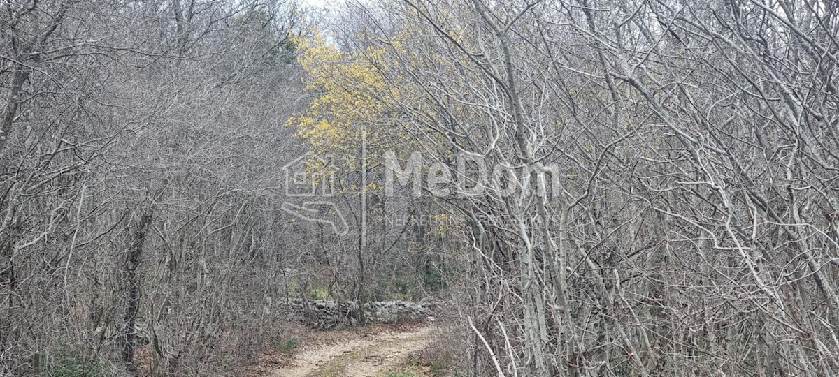 Terreno In vendita - ISTARSKA SVETA NEDELJA