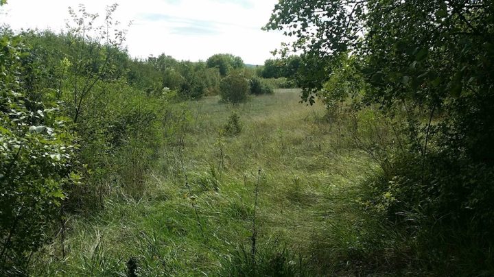 Terrain à vendre 610 m² – Labin