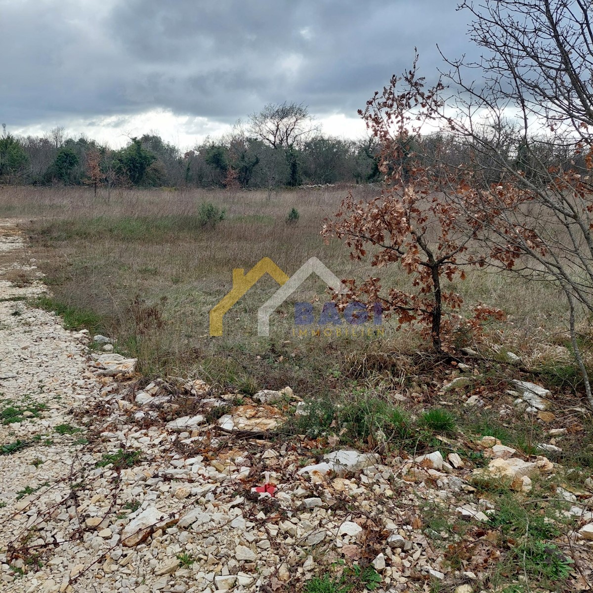 Land For sale - ISTARSKA SVETVINČENAT