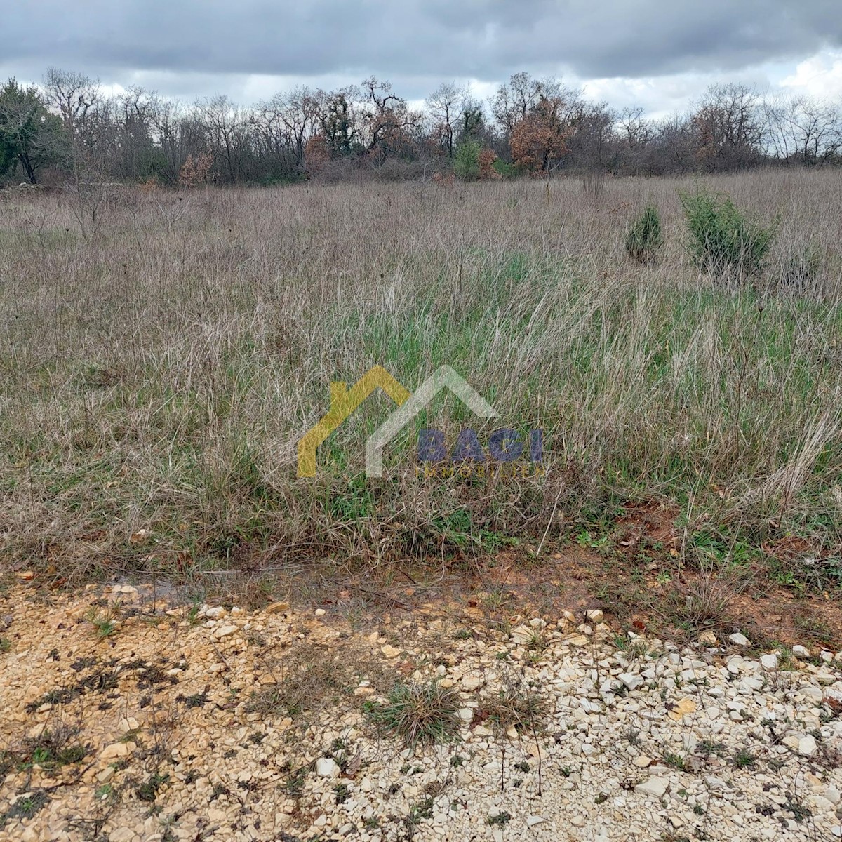 Land For sale - ISTARSKA SVETVINČENAT