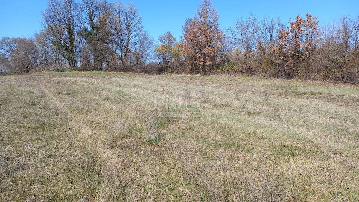 Terreno In vendita - ISTARSKA ŽMINJ