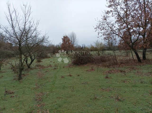 Pozemok na predaj 13448 m² – Bačva