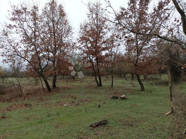 Parcela Na predaj - Istarska Višnjan - foto 2/5