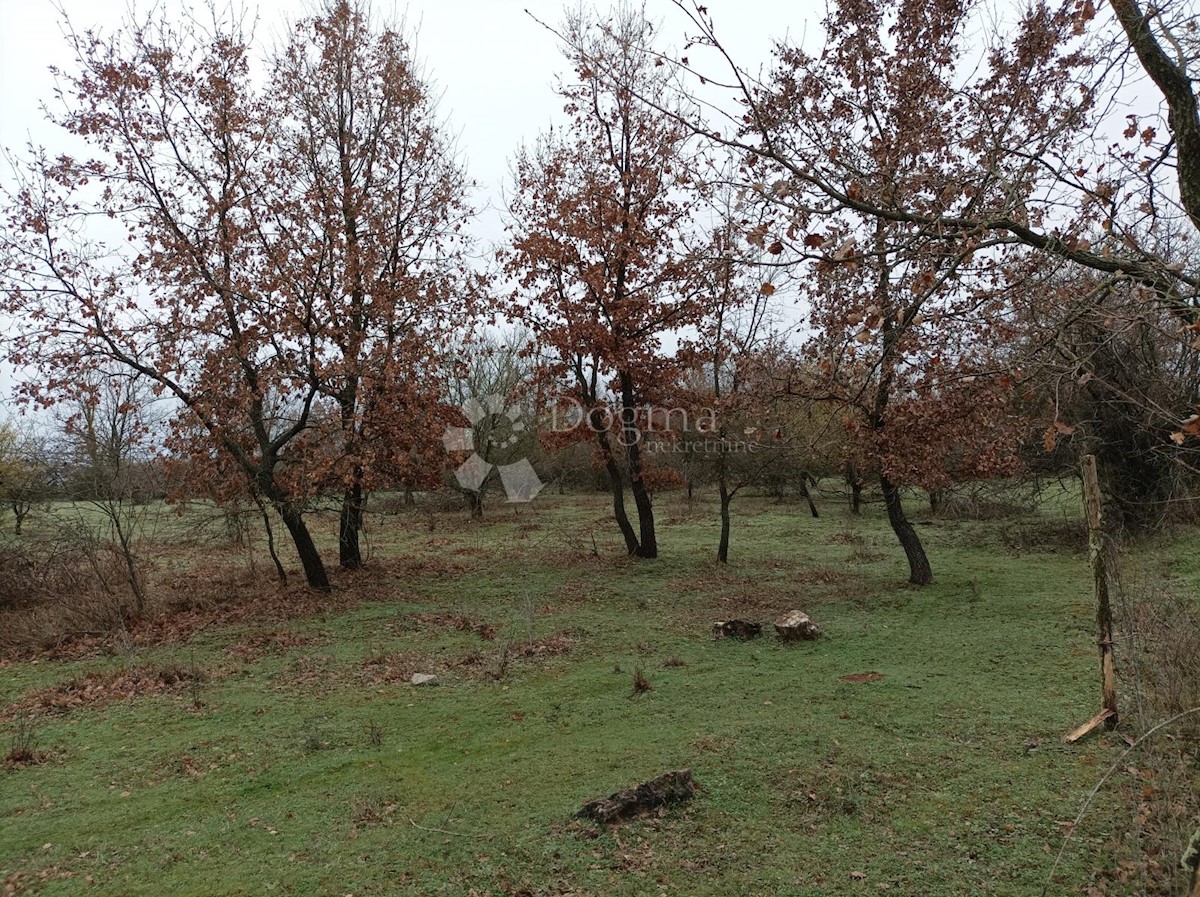 Terreno In vendita - ISTARSKA VIŠNJAN