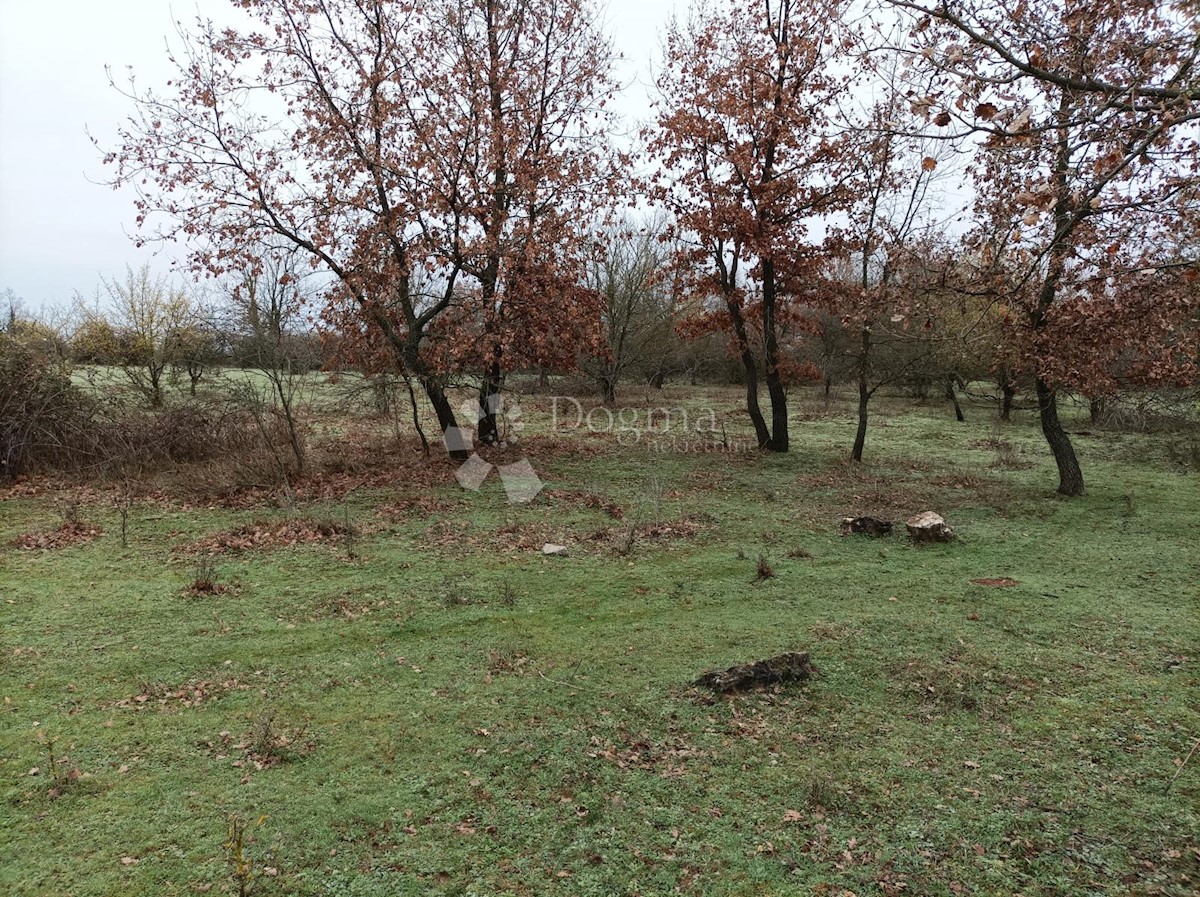 Land For sale - ISTARSKA VIŠNJAN