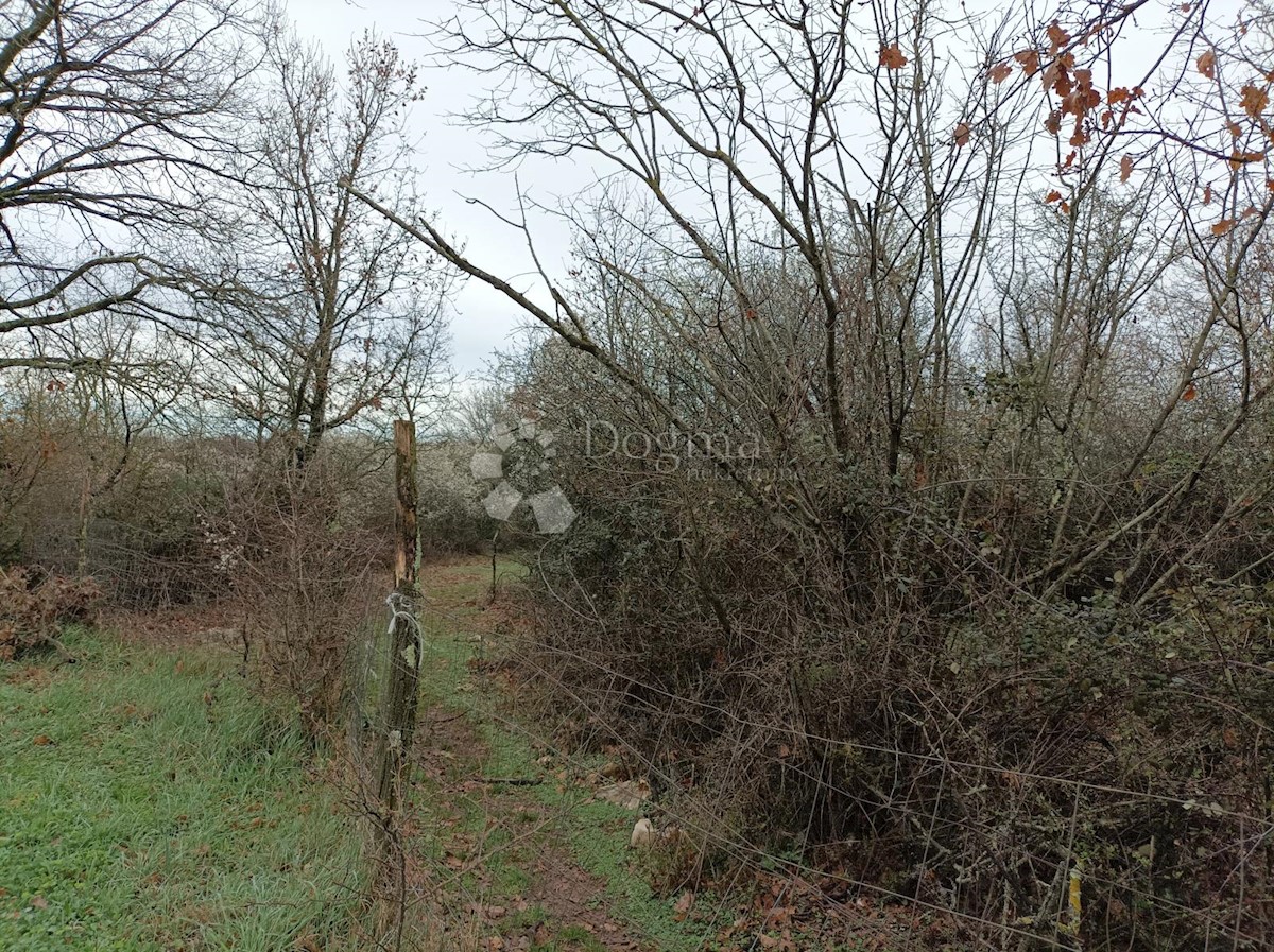 Terreno In vendita - ISTARSKA VIŠNJAN