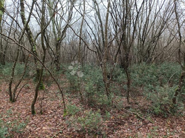 Pozemok na predaj 7539 m² – Bačva